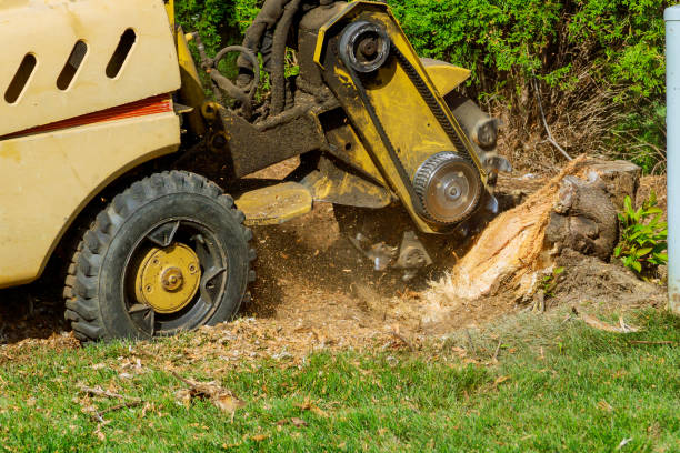 Mulching Services in Plainville, KS